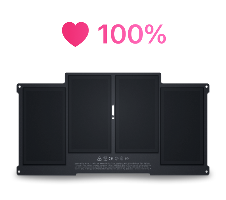 Sensei battery panel showing a heart icon and 100% health above an illustration of battery cells.